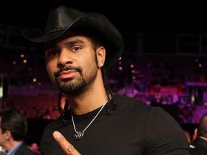 Девід Хей хоче відіслати Кличка на канвас Девід Хей хоче відіслати Кличка на канвас