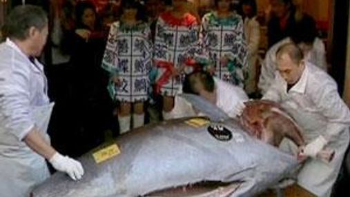 В Японии за рекордную сумму продали голубого тунца