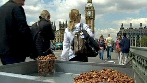 Високі ціни у Лондоні відлякують туристів відвідати Олімпіаду