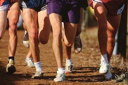 У Непалі почався спортивний фестиваль для геїв У Непалі почався спортивний фестиваль для геїв