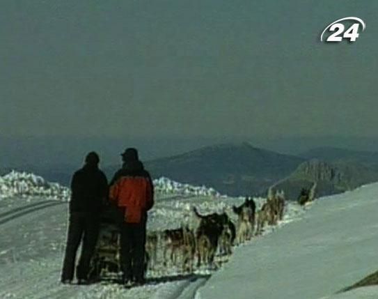 Катание на санях: Поездки по заснеженным горам, где мороз пробирает до костей