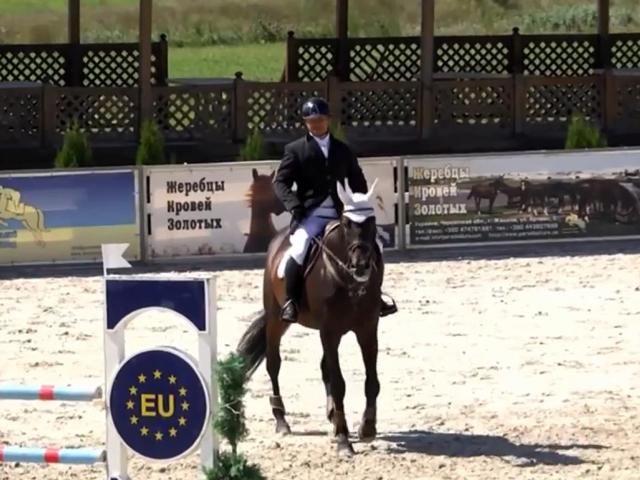 Зроблено в Україні: Українська верхова — порода коней, яку вивели після Другої світової війни Зроблено в Україні: Українська верхова — порода коней, яку вивели після Другої світової війни