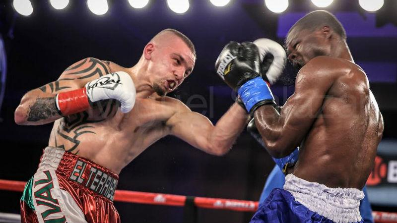 Украинец Редкач потерял шанс сразиться за титул чемпиона мира WBC