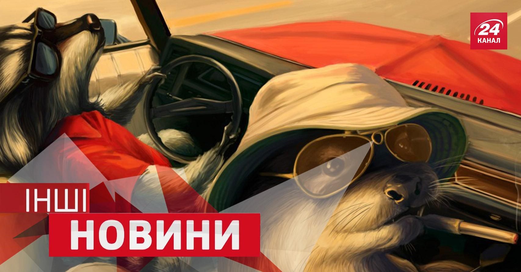 ДРУГИЕ Новости. Как сыграть концерт на автомобильном органе и зачем еноту крутить педали ДРУГИЕ Новости. Как сыграть концерт на автомобильном органе и зачем еноту крутить педали