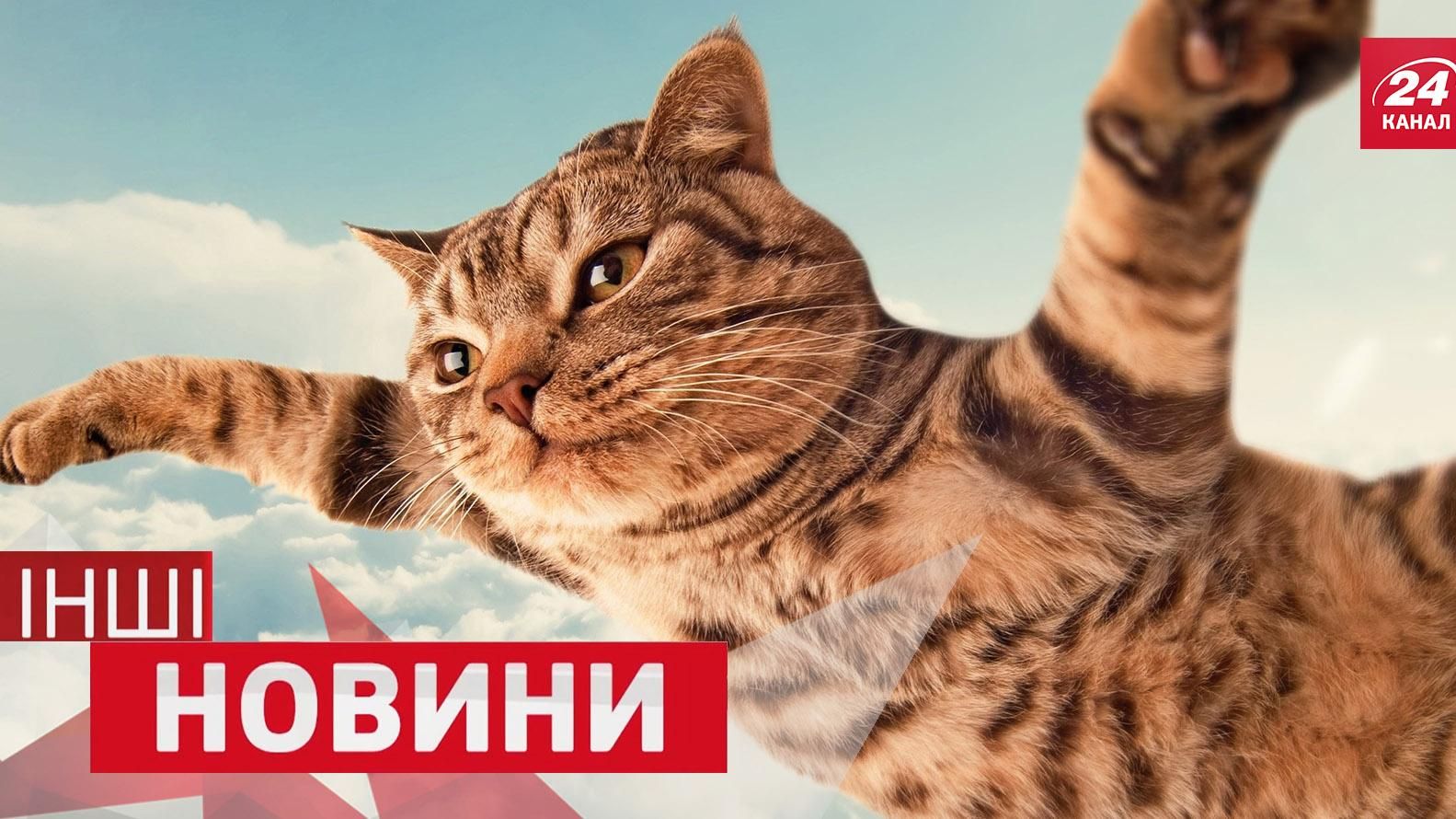 ІНШІ новини. Кіт вразив танцями на пілоні. Що можна помістити в крихітній квартирі ІНШІ новини. Кіт вразив танцями на пілоні. Що можна помістити в крихітній квартирі