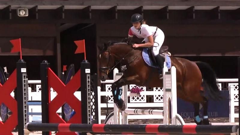 Конные соревнования: захватывающие кадры по преодолению препятствий Конные соревнования: захватывающие кадры по преодолению препятствий