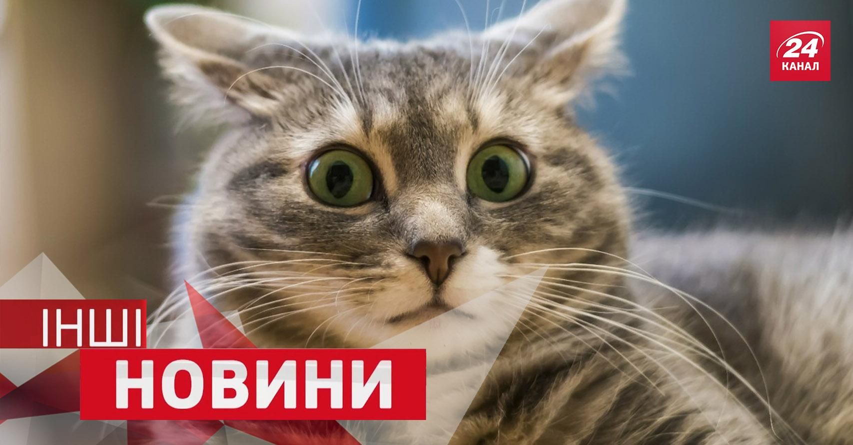 ІНШІ новини. Як виглядає найстарша стриптизерка. "Старий" бодібілдер показав майстер-клас ІНШІ новини. Як виглядає найстарша стриптизерка. "Старий" бодібілдер показав майстер-клас