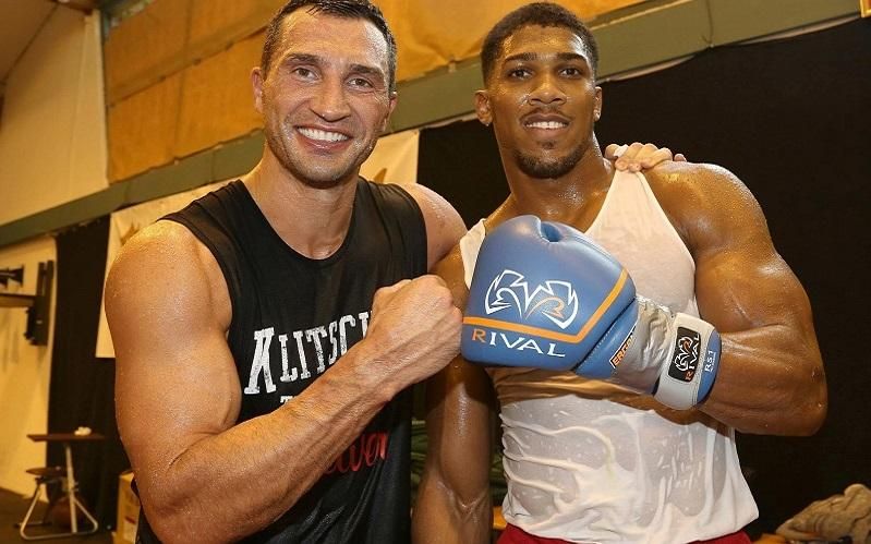 Известный боксер рассказал, кто является фаворитом в бою Джошуа – Кличко Известный боксер рассказал, кто является фаворитом в бою Джошуа – Кличко