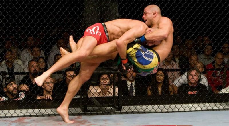 Во Франции запретили смешанные боевые искусства Во Франции запретили смешанные боевые искусства