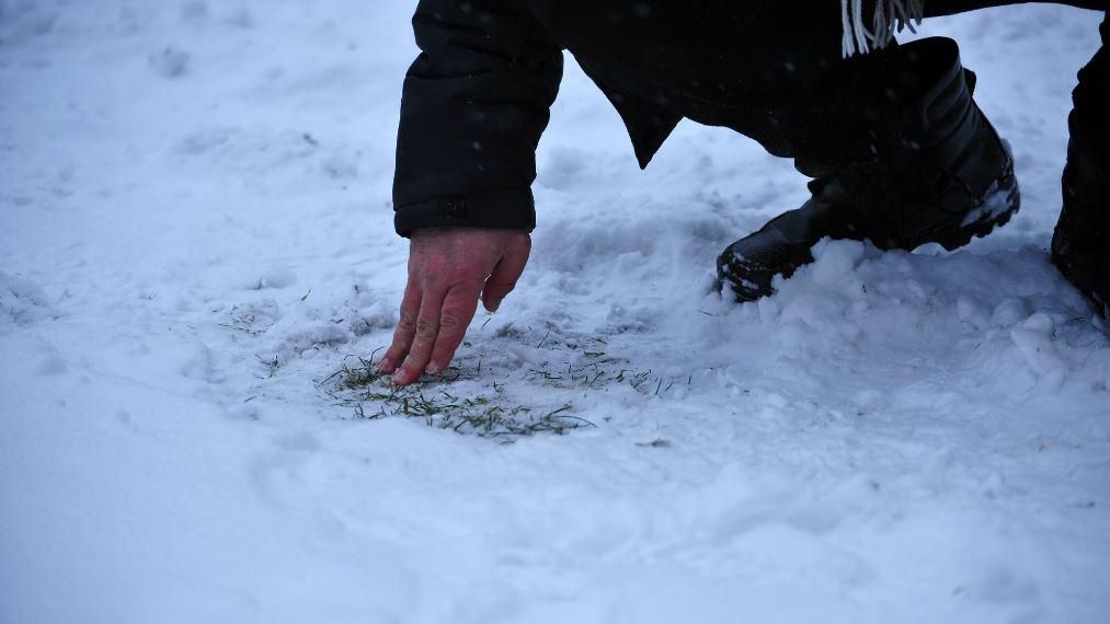 Через негоду в Україні відмінили футбольний матч Через негоду в Україні відмінили футбольний матч