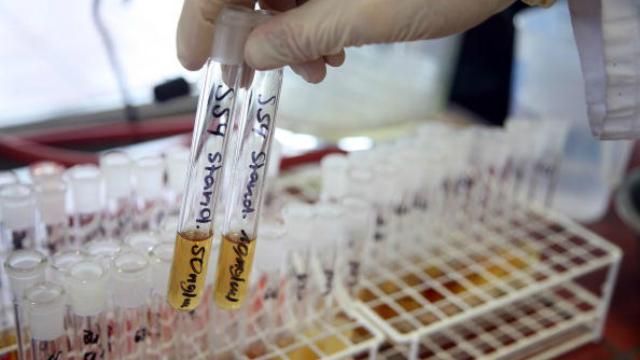 Всех российских спортсменов, выступавших на олимпиаде в Ванкувере, еще раз проверят на допинг Всех российских спортсменов, выступавших на олимпиаде в Ванкувере, еще раз проверят на допинг