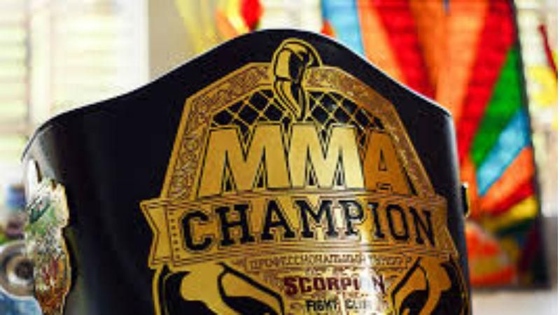 Українські бійці змішаних єдиноборств феєрично вибороли перемогу у фіналі турніру Українські бійці змішаних єдиноборств феєрично вибороли перемогу у фіналі турніру