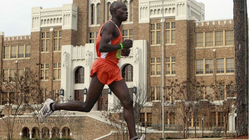 Професійний марафонець зумів уникнути нападу двох ведмедів у США Професійний марафонець зумів уникнути нападу двох ведмедів у США