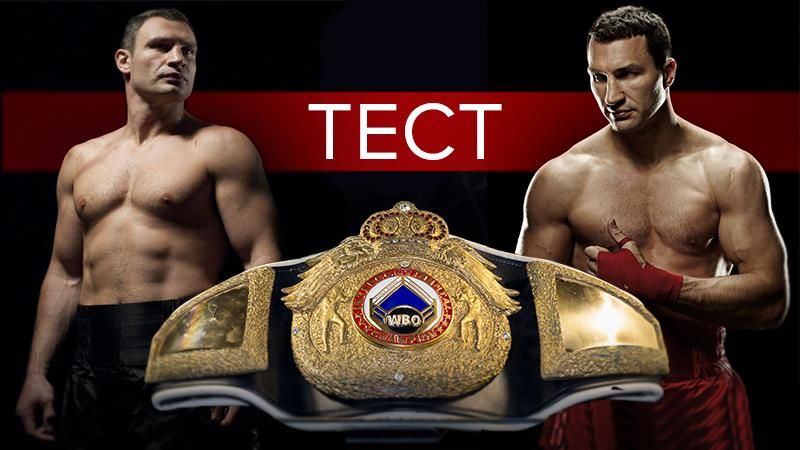 Достижения братьев Кличко: Владимир или Виталий? Достижения братьев Кличко: Владимир или Виталий?