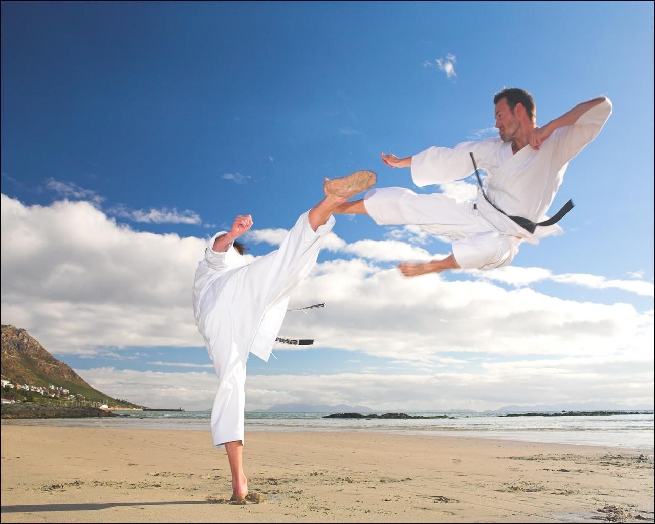 Спорт IQ. Каратэ Спорт IQ. Каратэ