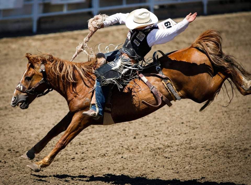 Спорт IQ. Родео - 28 травня 2018 - Телеканал новин 24 Спорт IQ. Родео - 28 травня 2018 - Телеканал новин 24