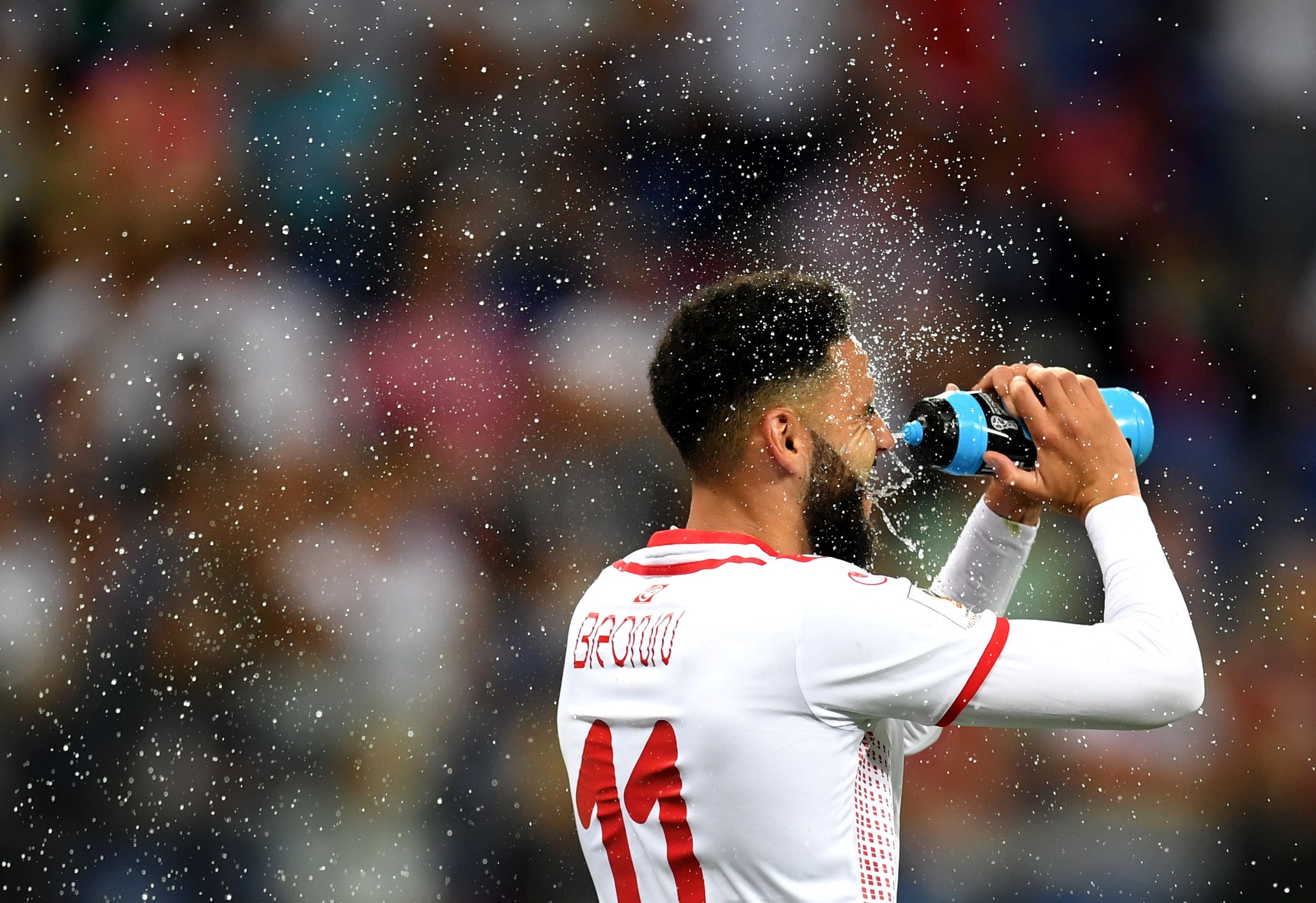 Матч ЧС-2018 атакували комахи: футболісти і журналісти рятувались, як могли Матч ЧС-2018 атакували комахи: футболісти і журналісти рятувались, як могли