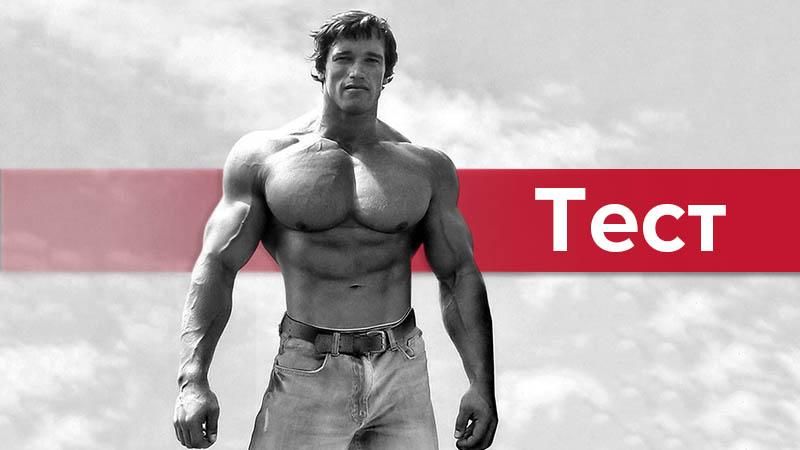 Шварценеггер: изменил жене или нет? Тест Шварценеггер: изменил жене или нет? Тест