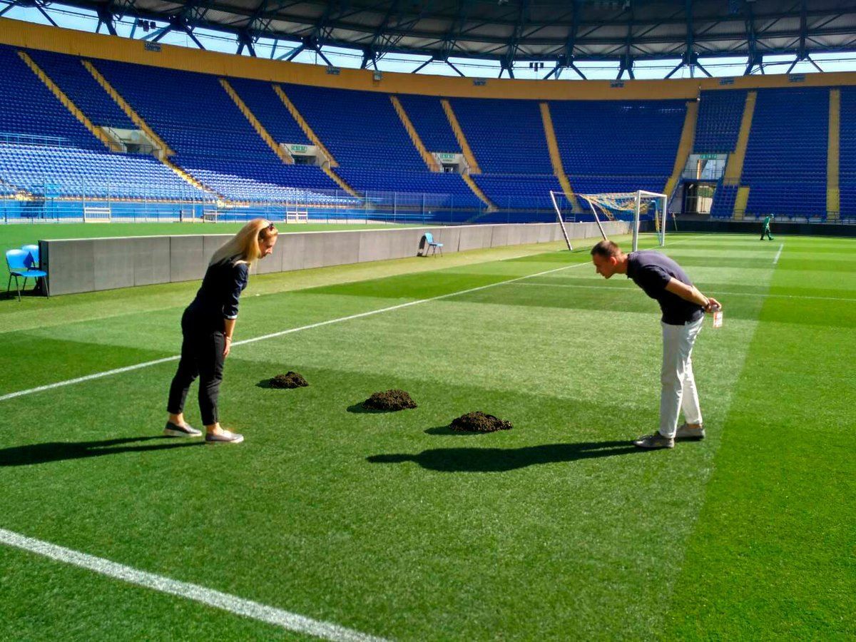 Кроты вырыли норы на поле стадиона "Металлист" перед матчем "Шахтера" в Лиге чемпионов: фото