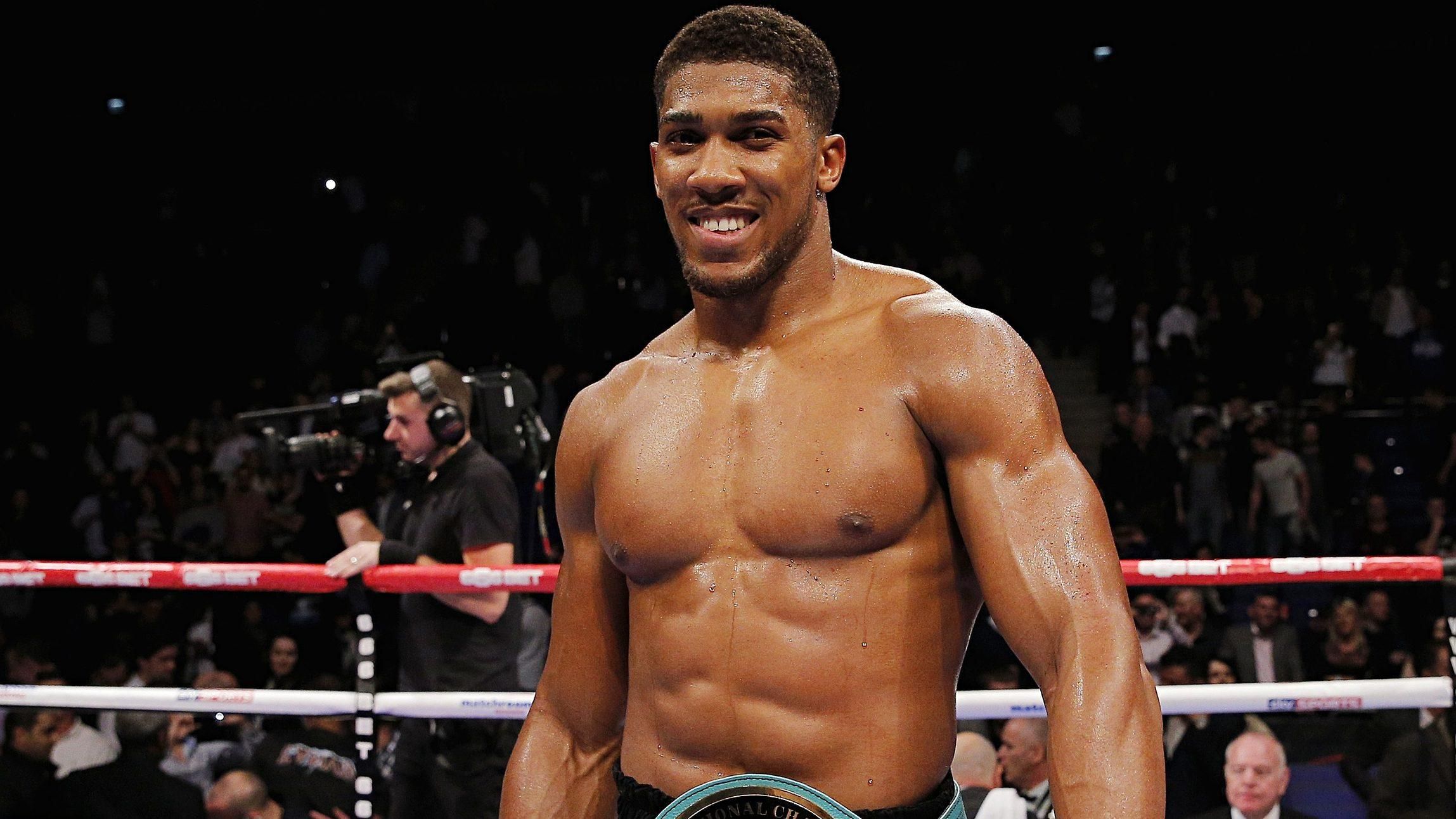 Джошуа планирует провести три поединка в 2019 году Джошуа планирует провести три поединка в 2019 году