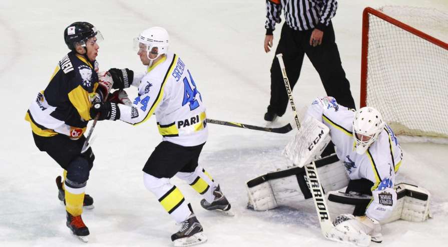 "Днепр" без проблем обыграл "Белый Барс" "Днепр" без проблем обыграл "Белый Барс"