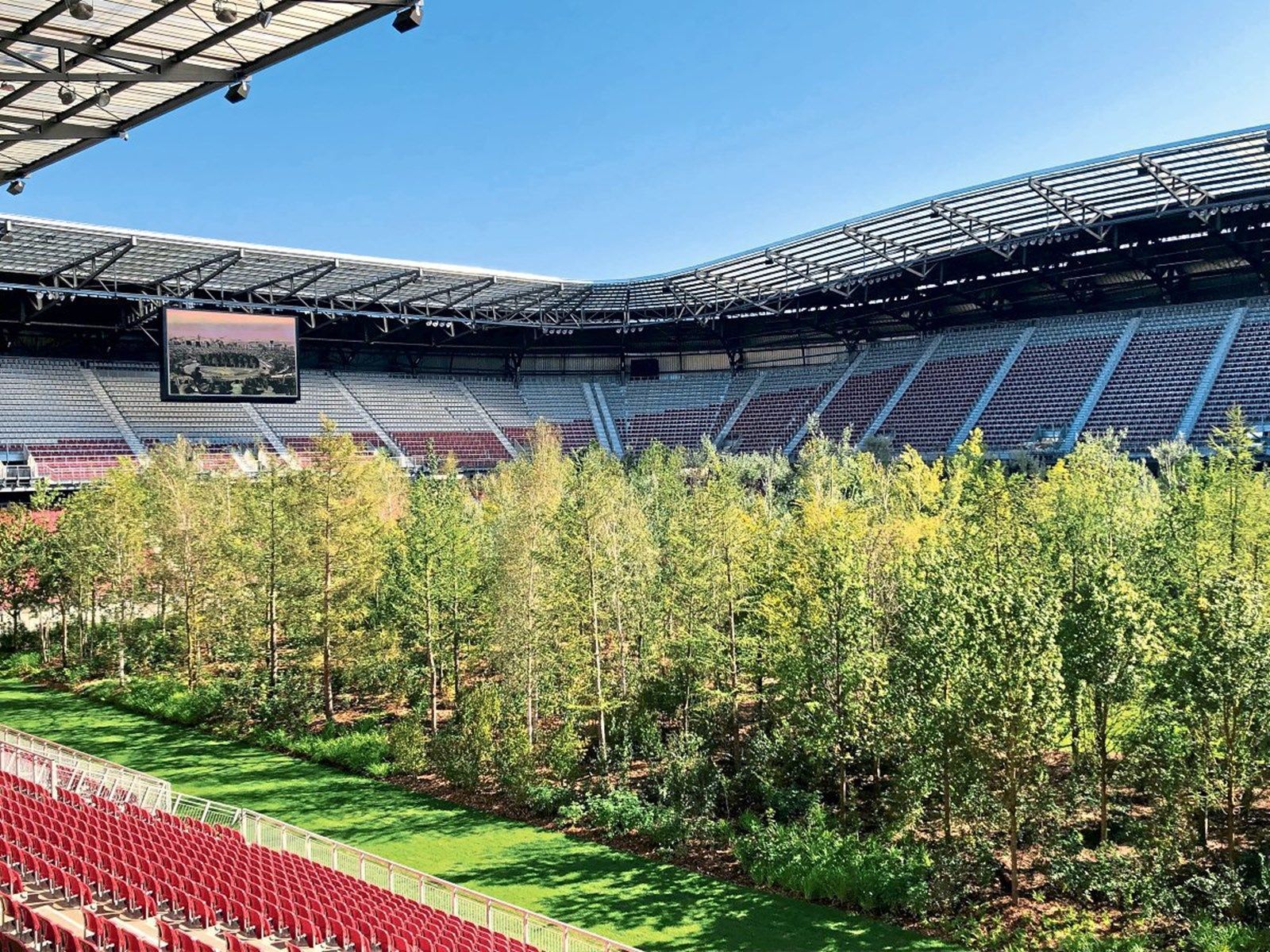 Ліс посеред стадіону: навіщо на арені в Австрії висадили дерева