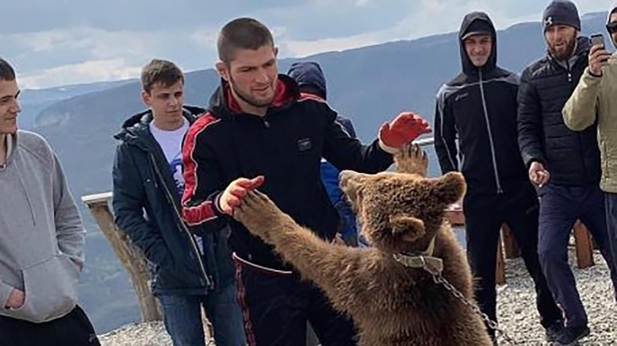 Зоозахисники вимагають покарати Хабіба Нурмагомедова за бій з ведмедем: відео Зоозахисники вимагають покарати Хабіба Нурмагомедова за бій з ведмедем: відео