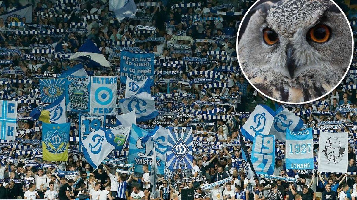 Підтримали сов: ультрас "Динамо" пояснили, що вони кричали Тайсону у матчі з "Шахтарем" Підтримали сов: ультрас "Динамо" пояснили, що вони кричали Тайсону у матчі з "Шахтарем"