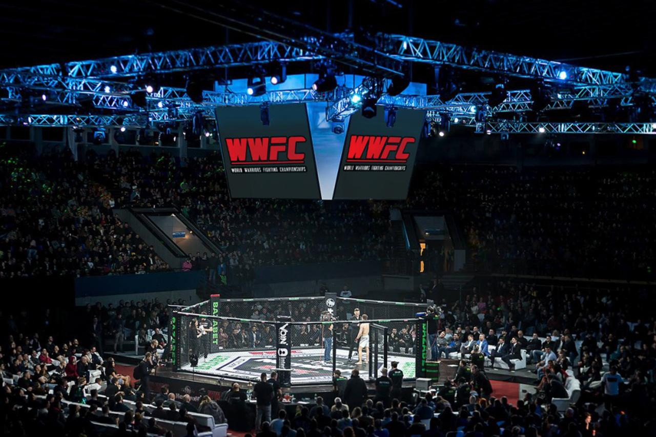 Есть ли перспектива у смешанных единоборств в Украине?