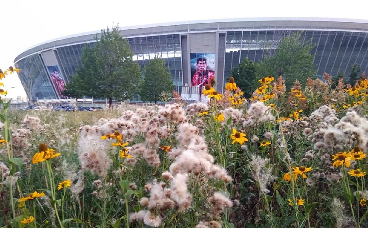 Бур'яни з людський зріст: як виглядає арена, яка приймала історичні матчі Євро в Україні – фото Бур'яни з людський зріст: як виглядає арена, яка приймала історичні матчі Євро в Україні – фото