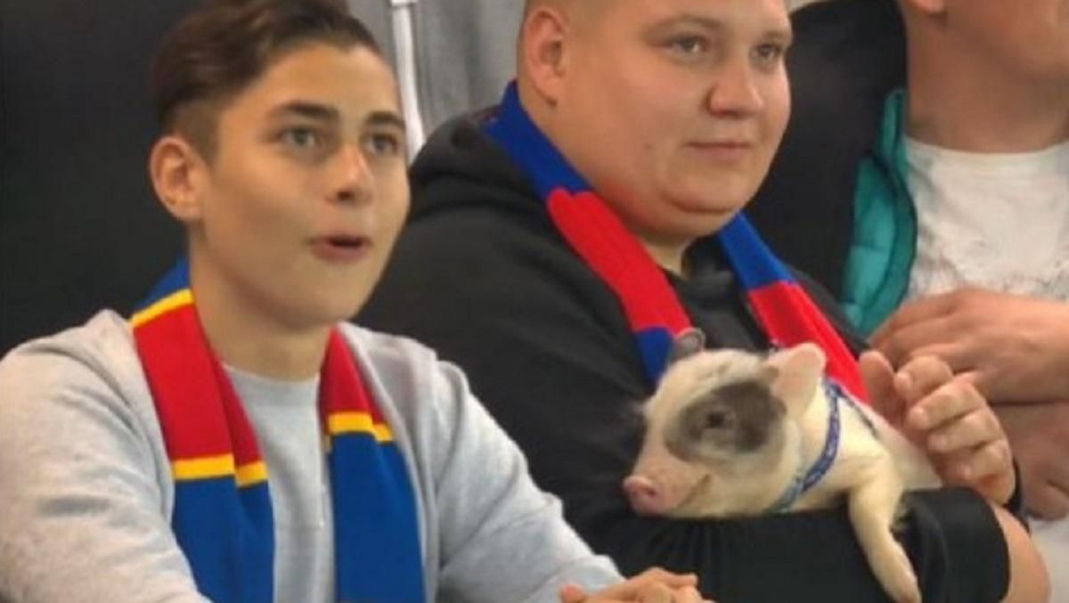 У Росії фанати притягли на футбольний матч справжнє порося: відео У Росії фанати притягли на футбольний матч справжнє порося: відео