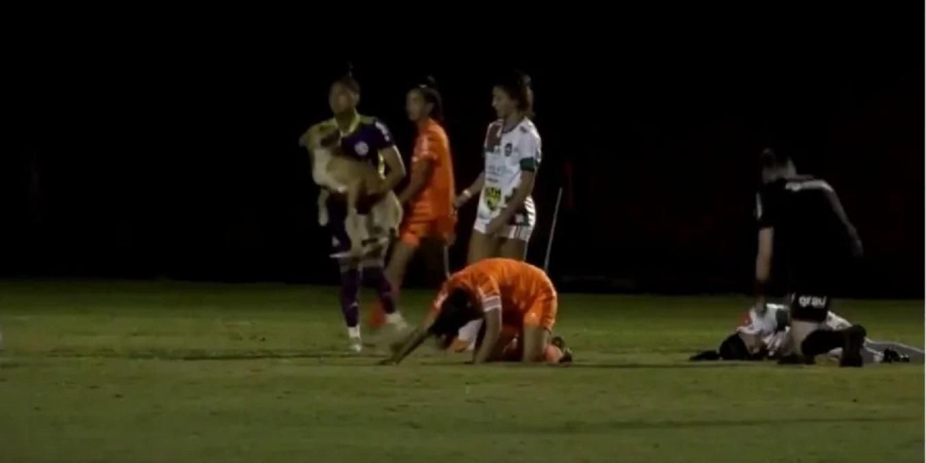 У Бразилії під час матчу грайливий собака вибіг на поле і збив футболістку: відео