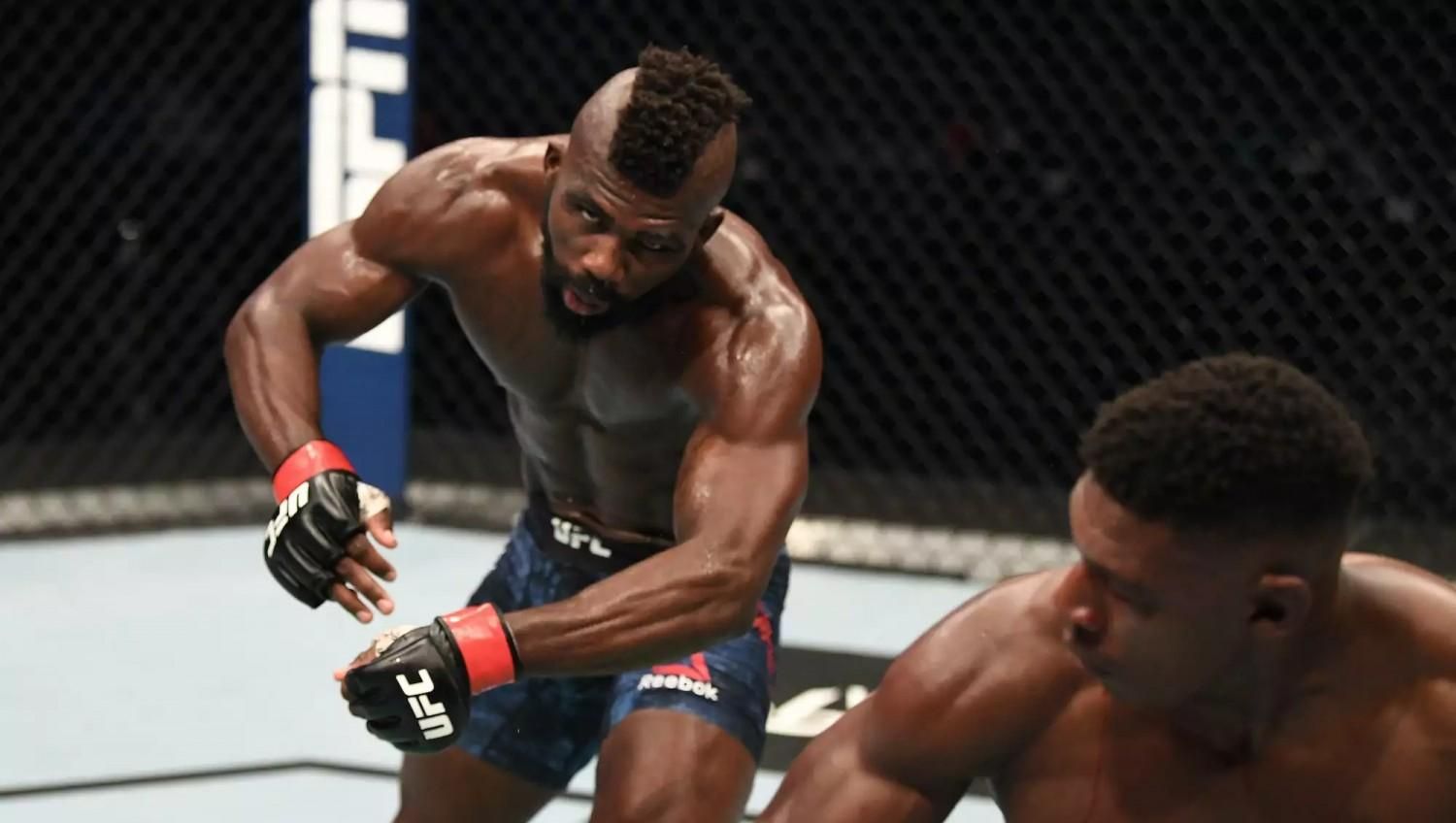 UFC представив номінантів на звання нокаут року: відео UFC представив номінантів на звання нокаут року: відео