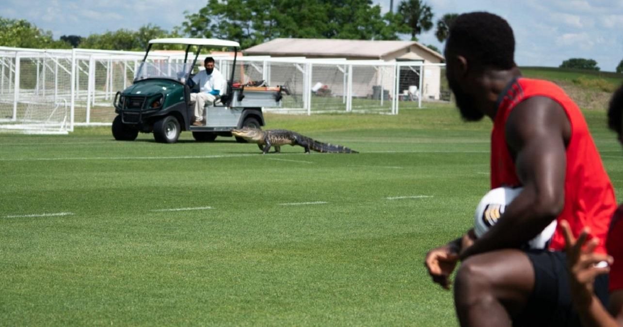 Як на тренування футбольного клубу завітав крокодил – відео