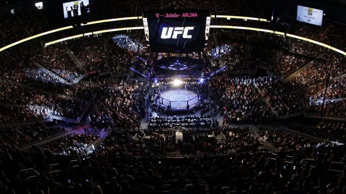 Фанаты устроили драку на трибунах турнира UFC 262 – видео Фанаты устроили драку на трибунах турнира UFC 262 – видео