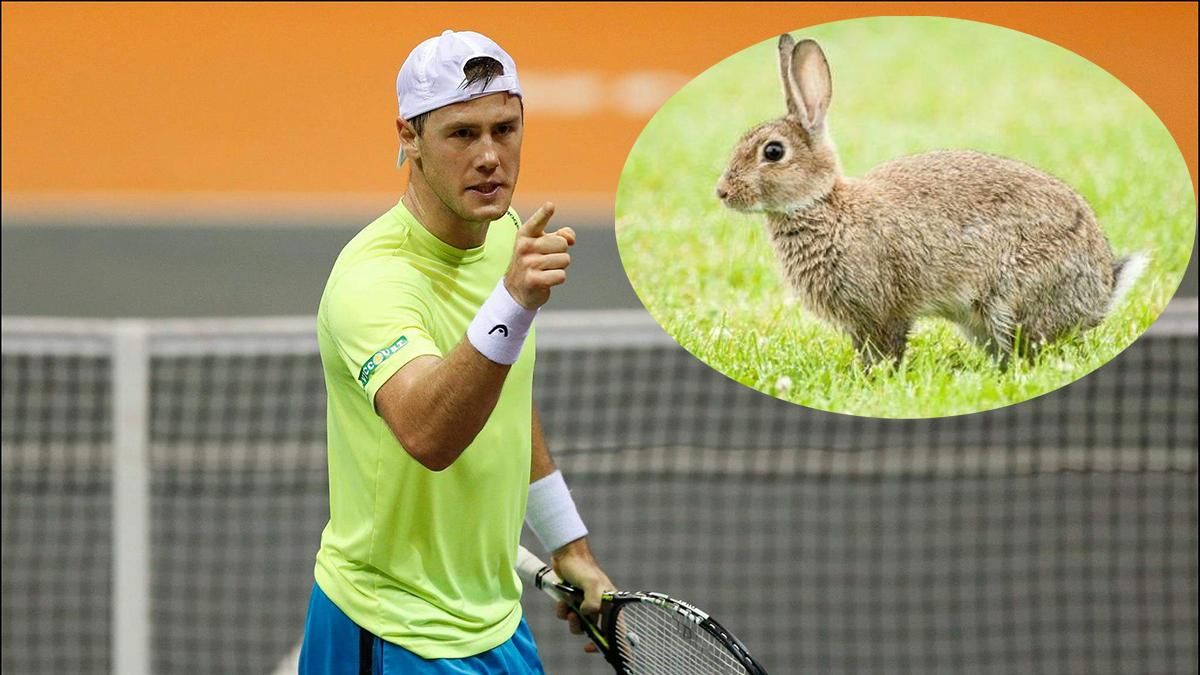 Заєць вибіг на корт і перервав тенісний матч Іллі Марченка у США: відео Заєць вибіг на корт і перервав тенісний матч Іллі Марченка у США: відео