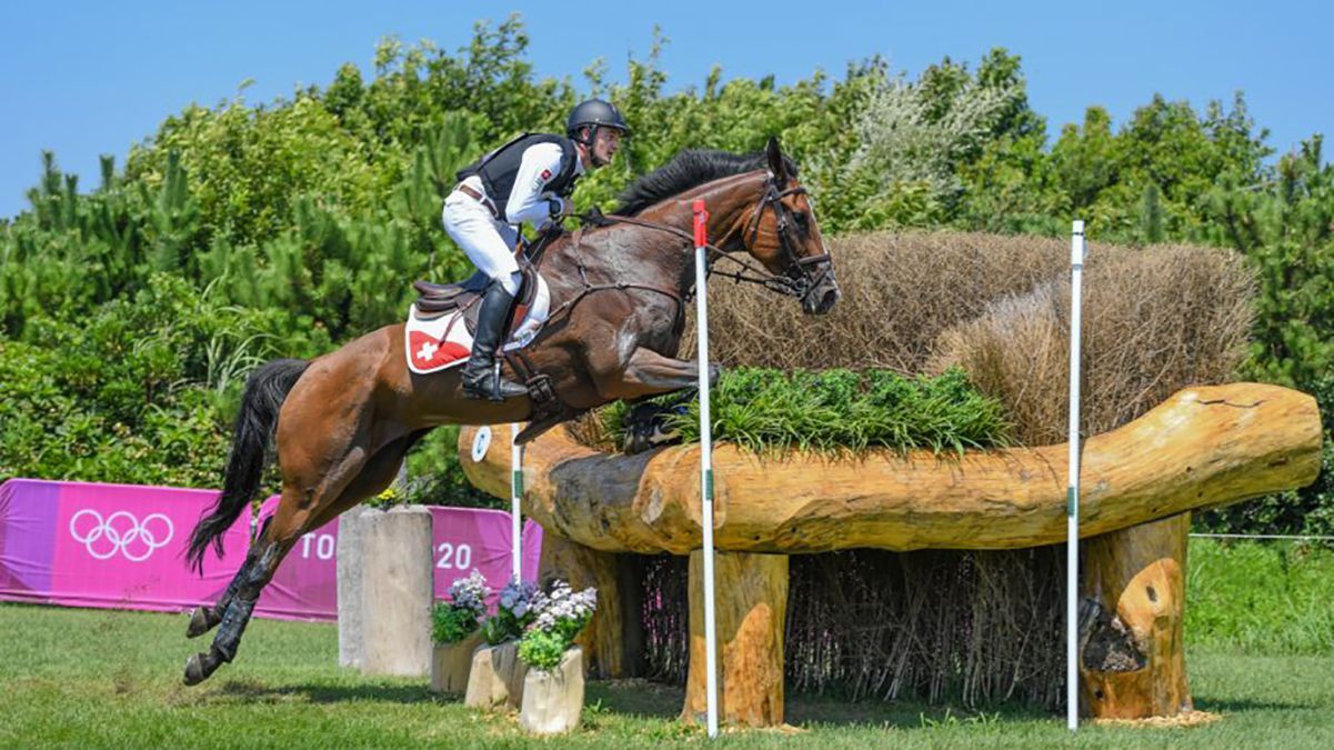 На Олімпіаді-2020 приспали коня після того, як він отримав травму під час виступу - Новини спорту - Спорт 24