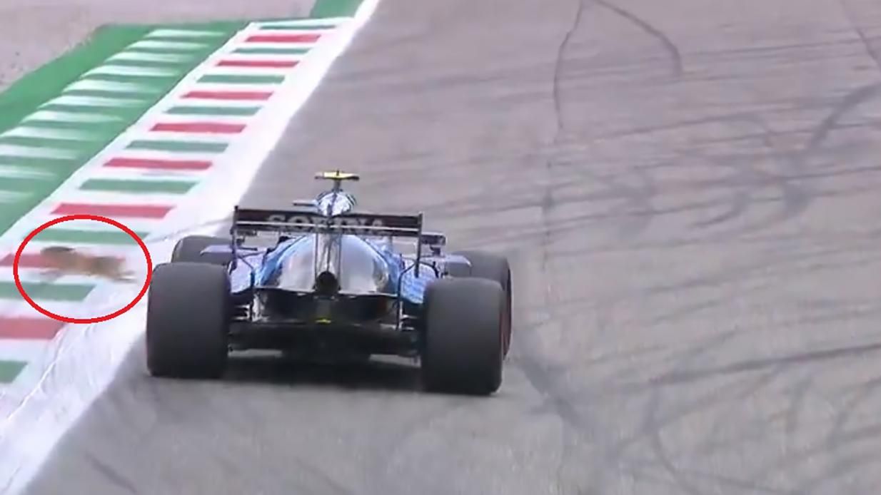 Пилот Формулы-1 едва не наехал на зайца: ушастый чудом избежал трагического финала – видео Пилот Формулы-1 едва не наехал на зайца: ушастый чудом избежал трагического финала – видео