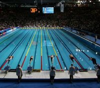 Австралии передали право на проведение ЧМ по плаванию: турнир должен был состояться в России
