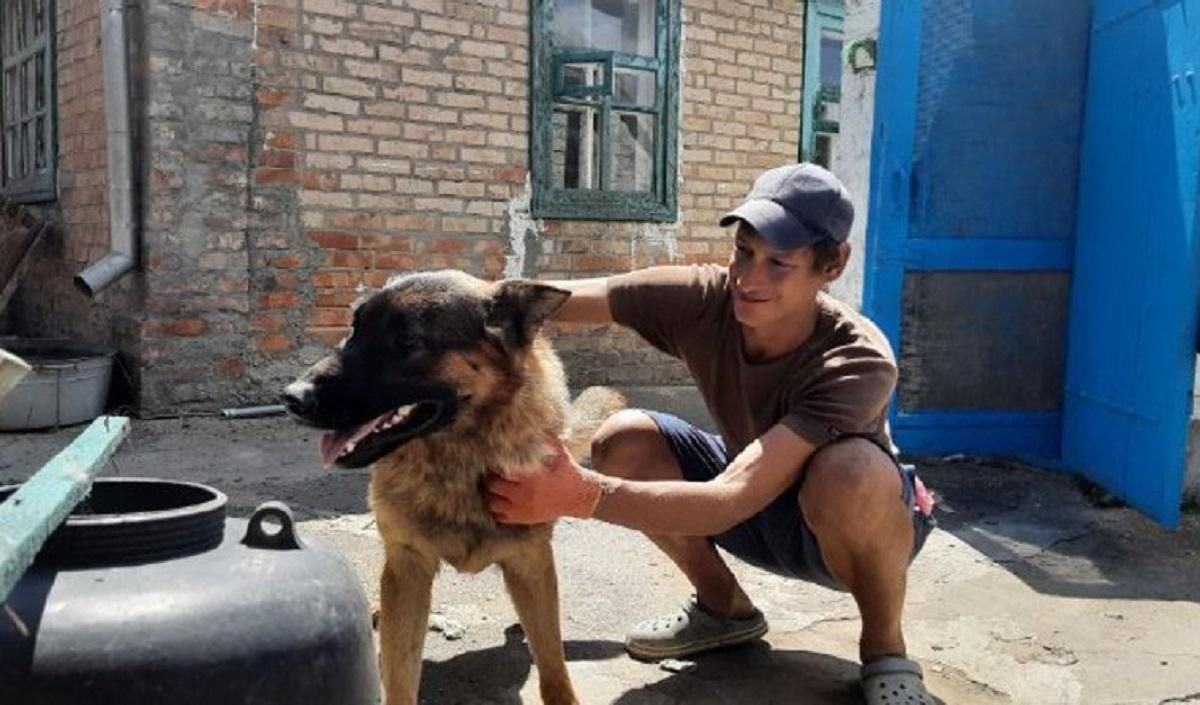 Обстріли Нікополя - як пес врятував життя власнику