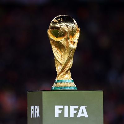 ФИФА планирует перенести старт ЧМ-2022 по прихоти Катара: названа причина