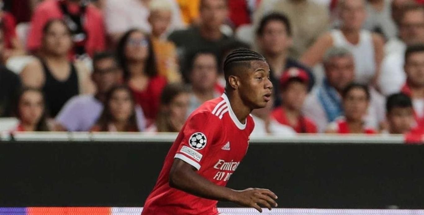 Давід Нерес Давід Нерес