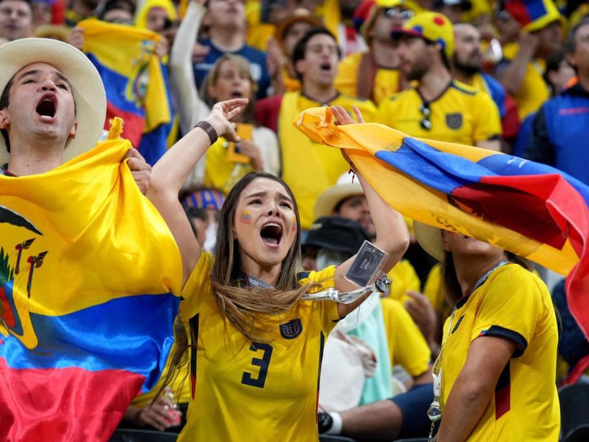 Фанаты на ЧМ-2022 Фанаты на ЧМ-2022