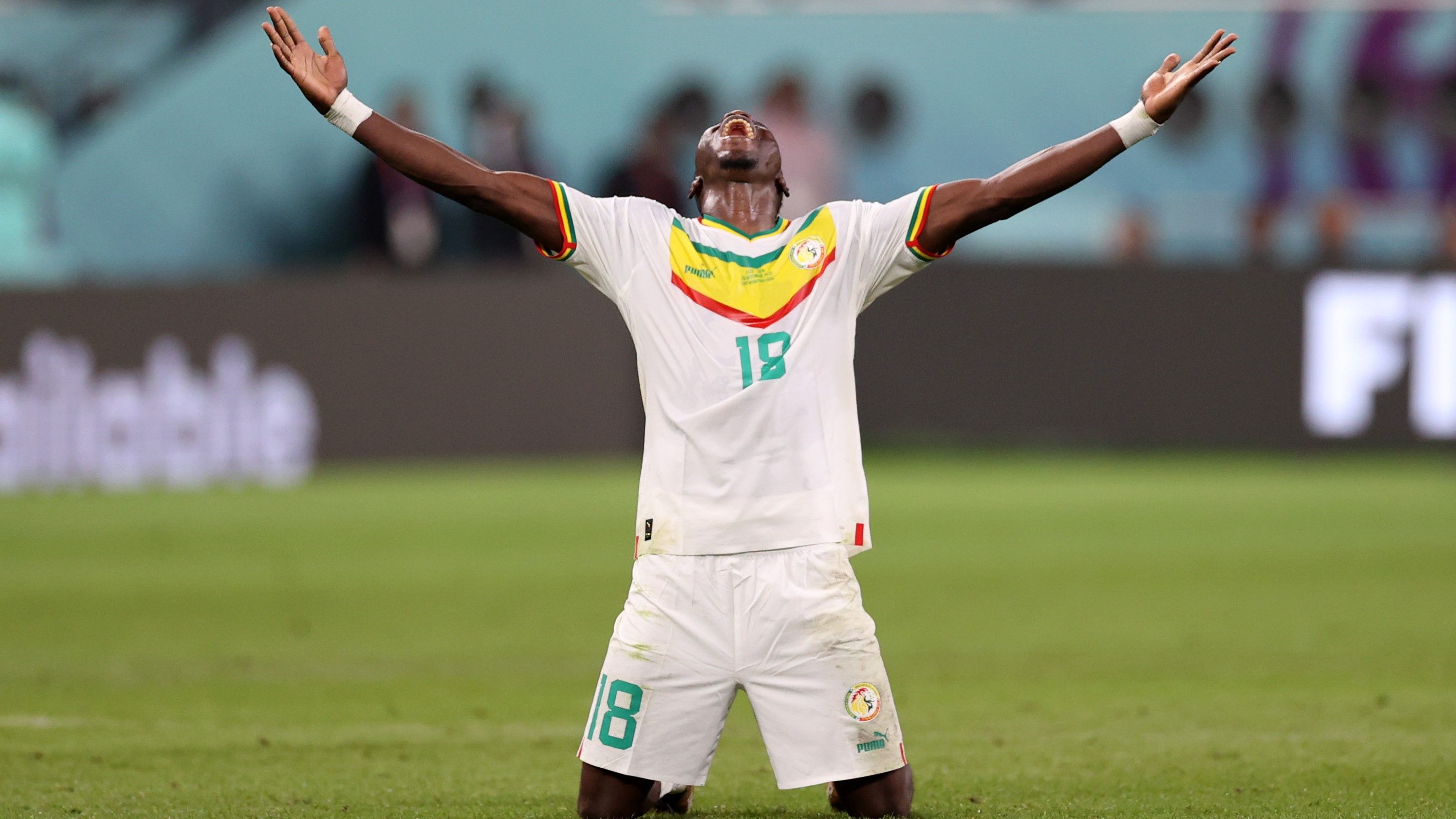 Итоги ЧМ-2022 29 ноября Итоги ЧМ-2022 29 ноября