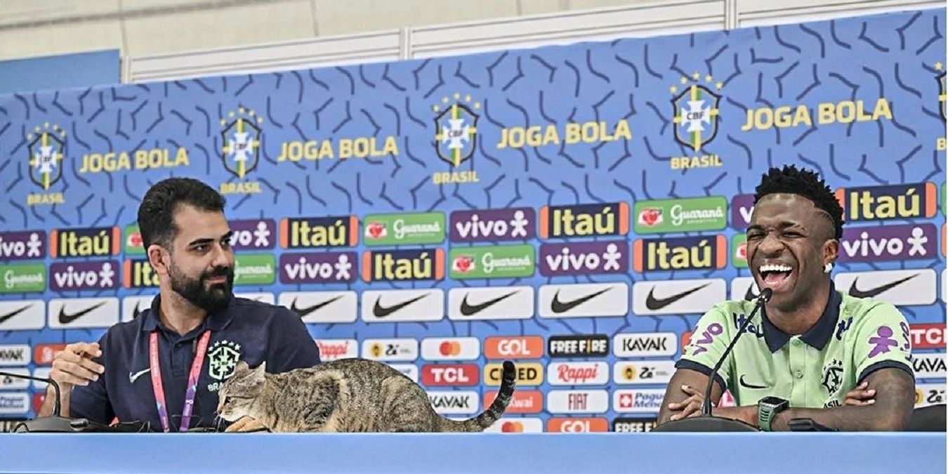 Зоозахисники подали позов на Федерацію футболу Бразилії після ЧС-2022 – причина Зоозахисники подали позов на Федерацію футболу Бразилії після ЧС-2022 – причина