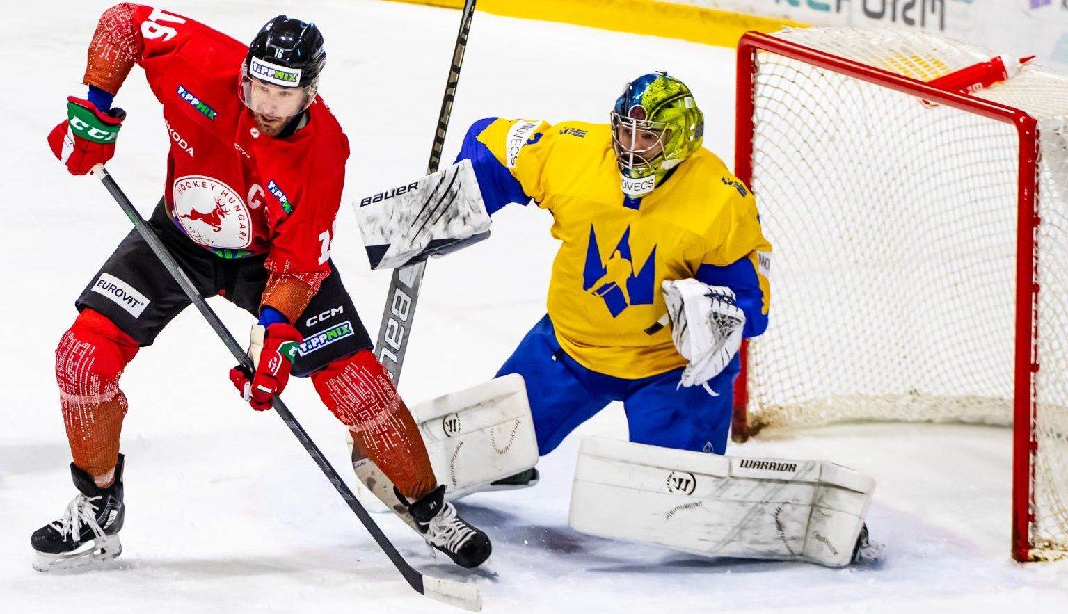 Сборная Украины обыграла венгров Сборная Украины обыграла венгров