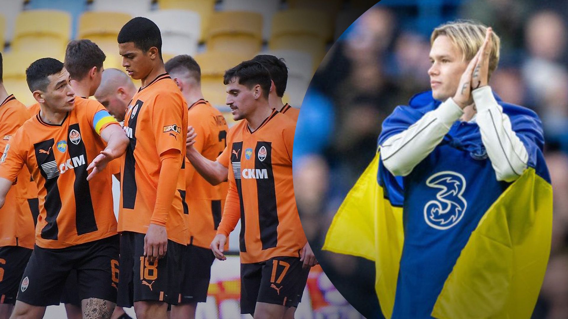 Шахтер сыграет против Михаила Мудрика Шахтер сыграет против Михаила Мудрика