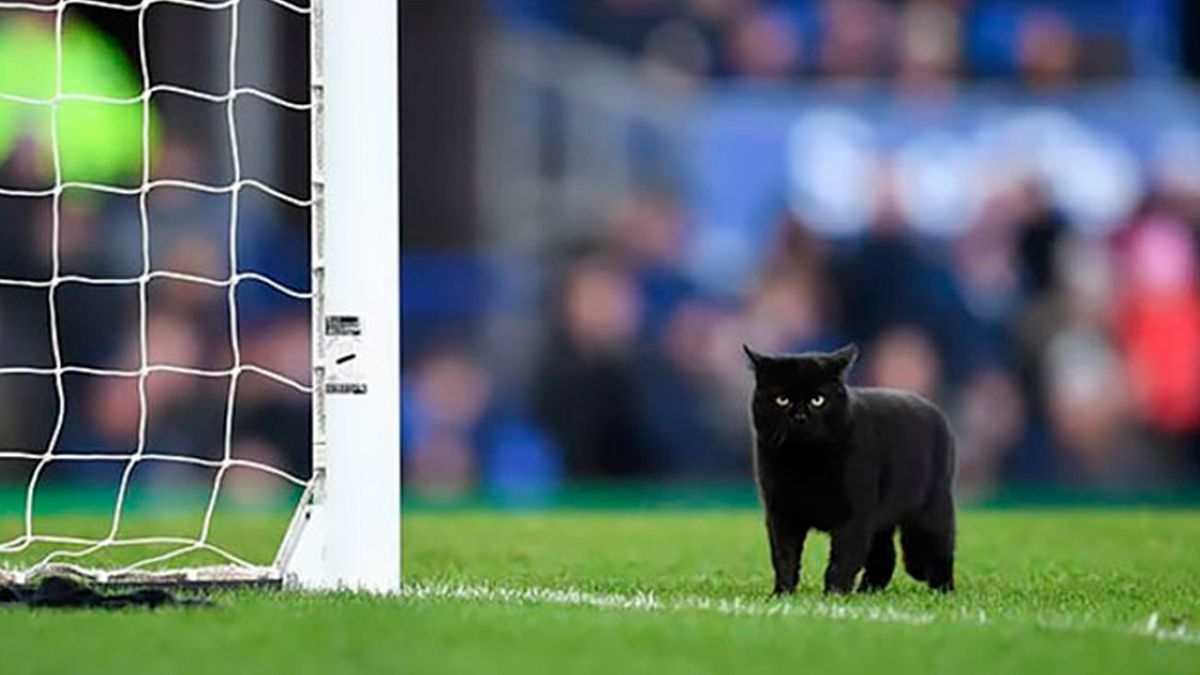 Спецставки на курьезные случаи в финале Лиги чемпионов Спецставки на курьезные случаи в финале Лиги чемпионов