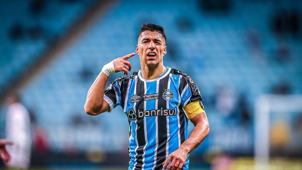 Луис Суарес договорился о расторжении контракта с Гремио – где будет играть форвард Луис Суарес договорился о расторжении контракта с Гремио – где будет играть форвард