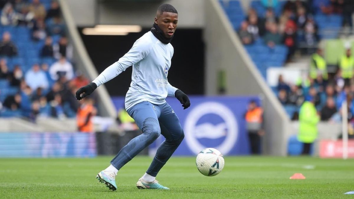 Мойзес Кайседо Мойзес Кайседо